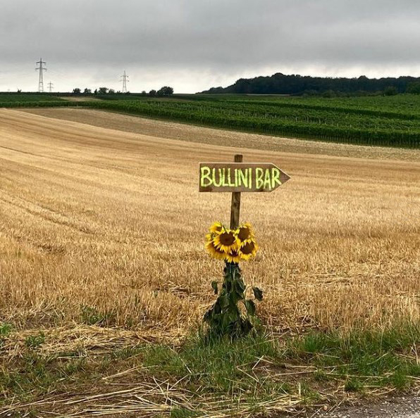 VW-Bulli-Mietbar-Weinberg-Leithaprodersdorf
